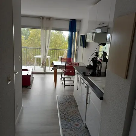 Le Sopraland 419, T2 Climatise, Piscine, Parking